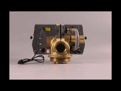 NSF Side Mount 0.6MPA Plastic Fleck Control Valve